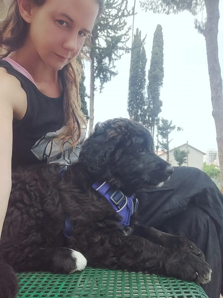 Mindful Training
