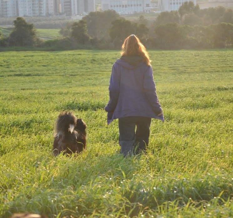 Mindful Training